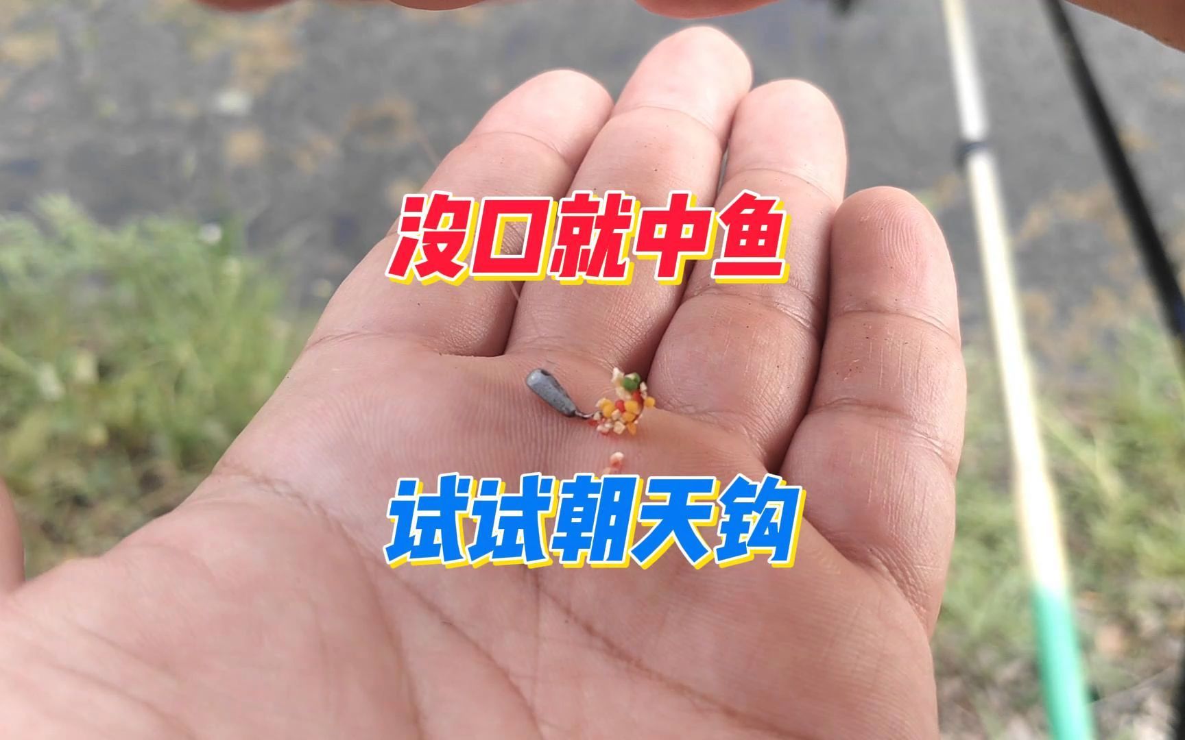 野钓鲫鱼给口轻，没口提竿中鱼咋办？除了时机选位要注意还有鱼钩