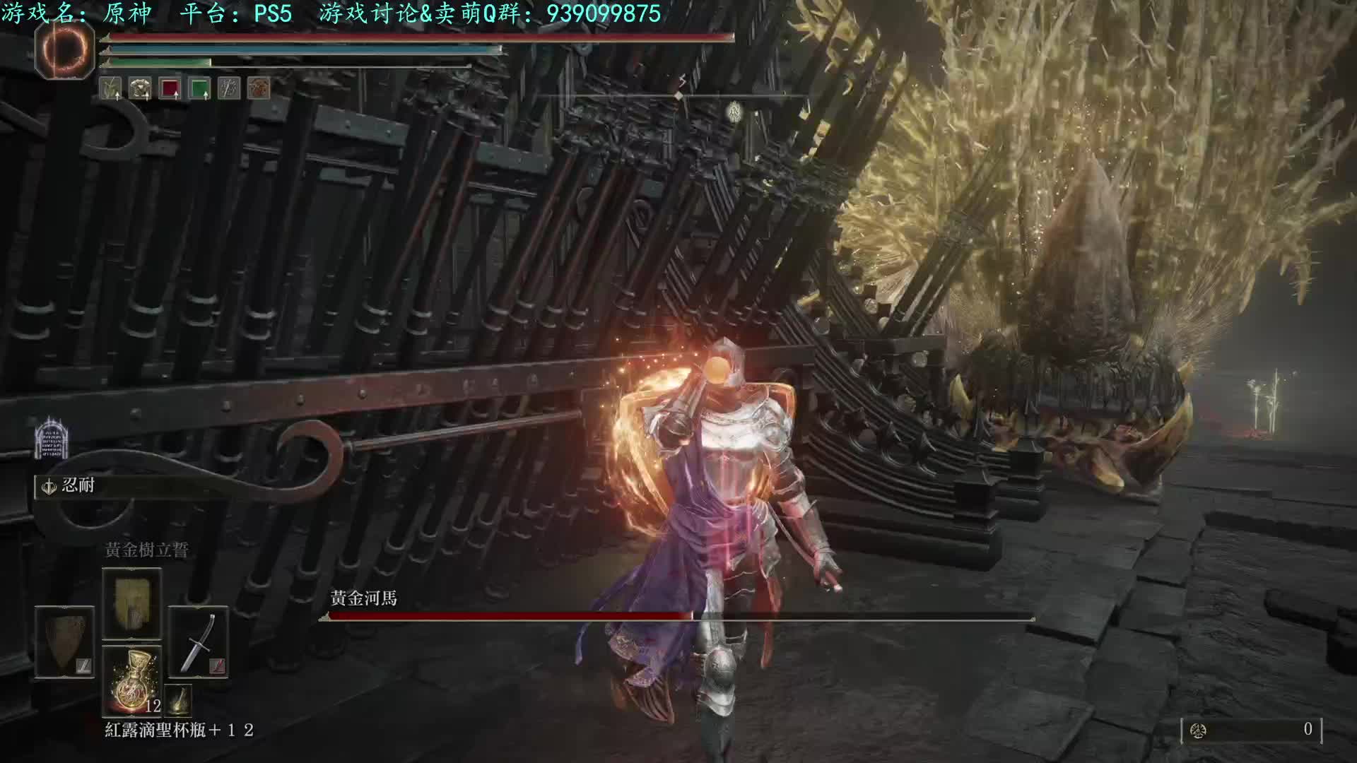 老头环DLC-8周河马君