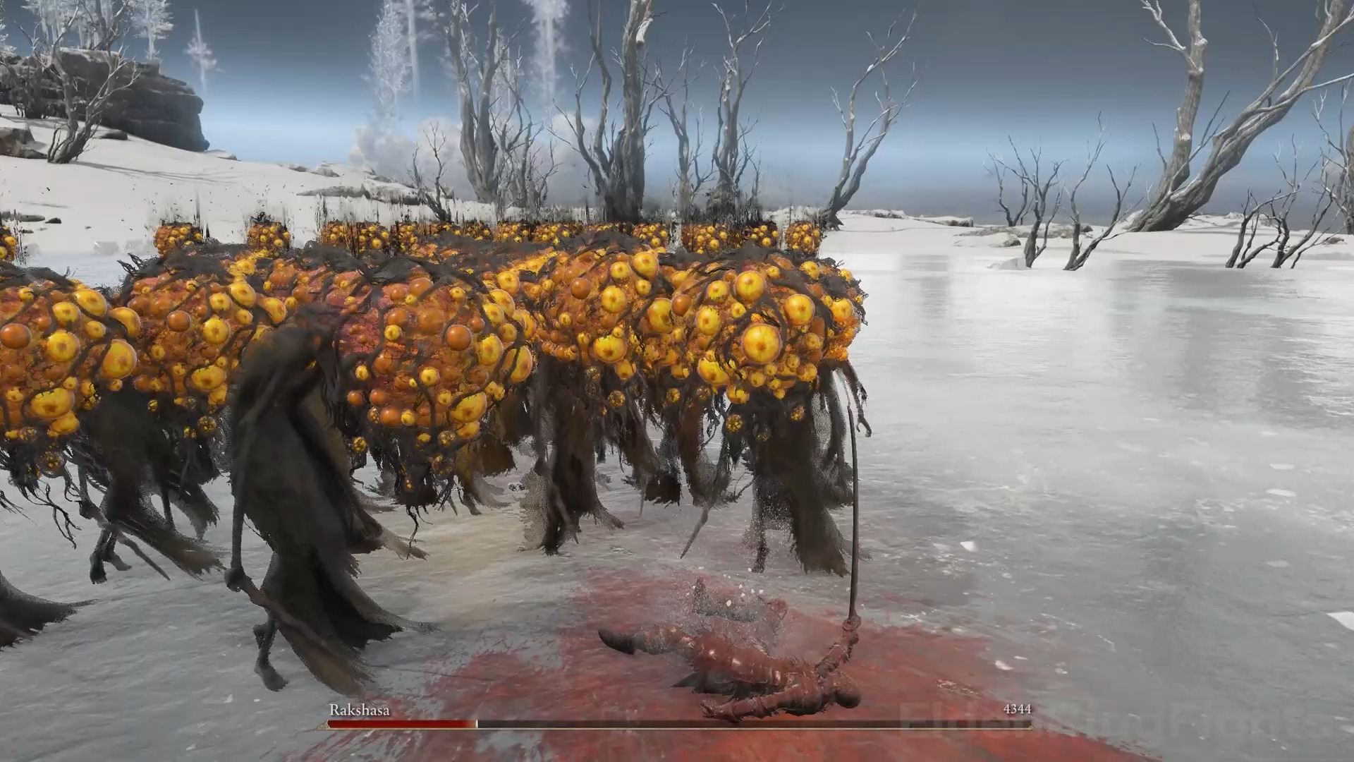 《黄金树幽影》50个禁触老翁能秒幽影之地吗