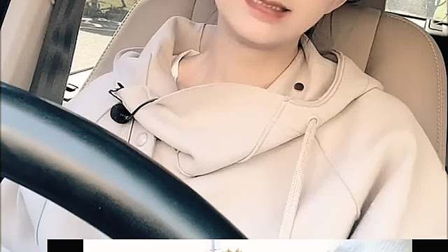 希望吉利新能源的最后一搏能有所突破