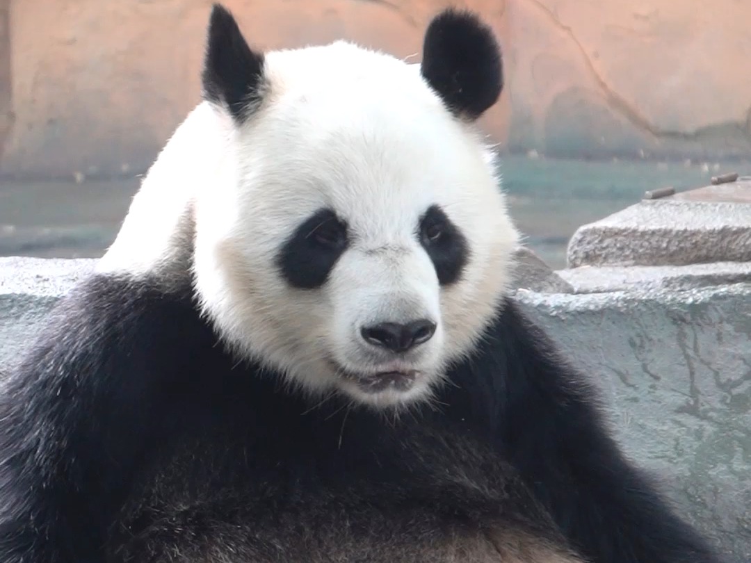 夏天空调配水池，幸福美滋滋