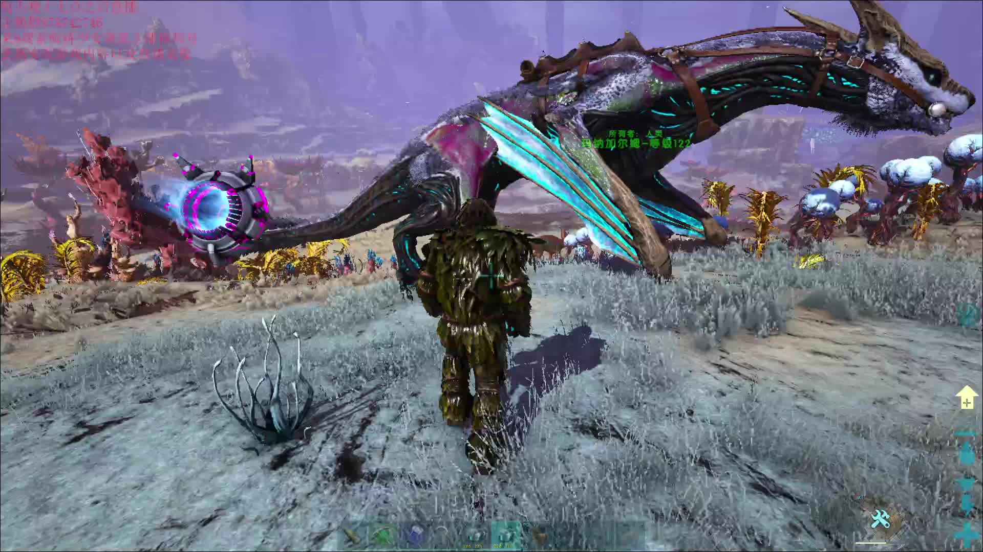 2024年7月18日直播录像2p