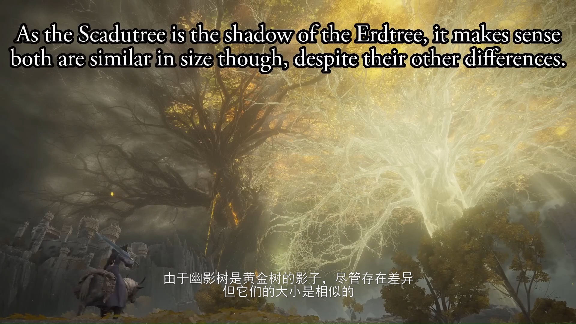 《黄金树幽影》把幽影树放在交界地测量高度