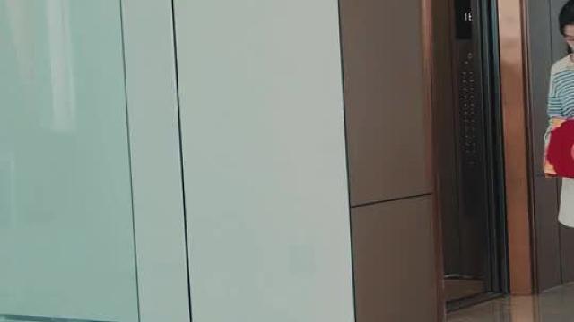 闪婚后，顾总马甲藏不住了第17集