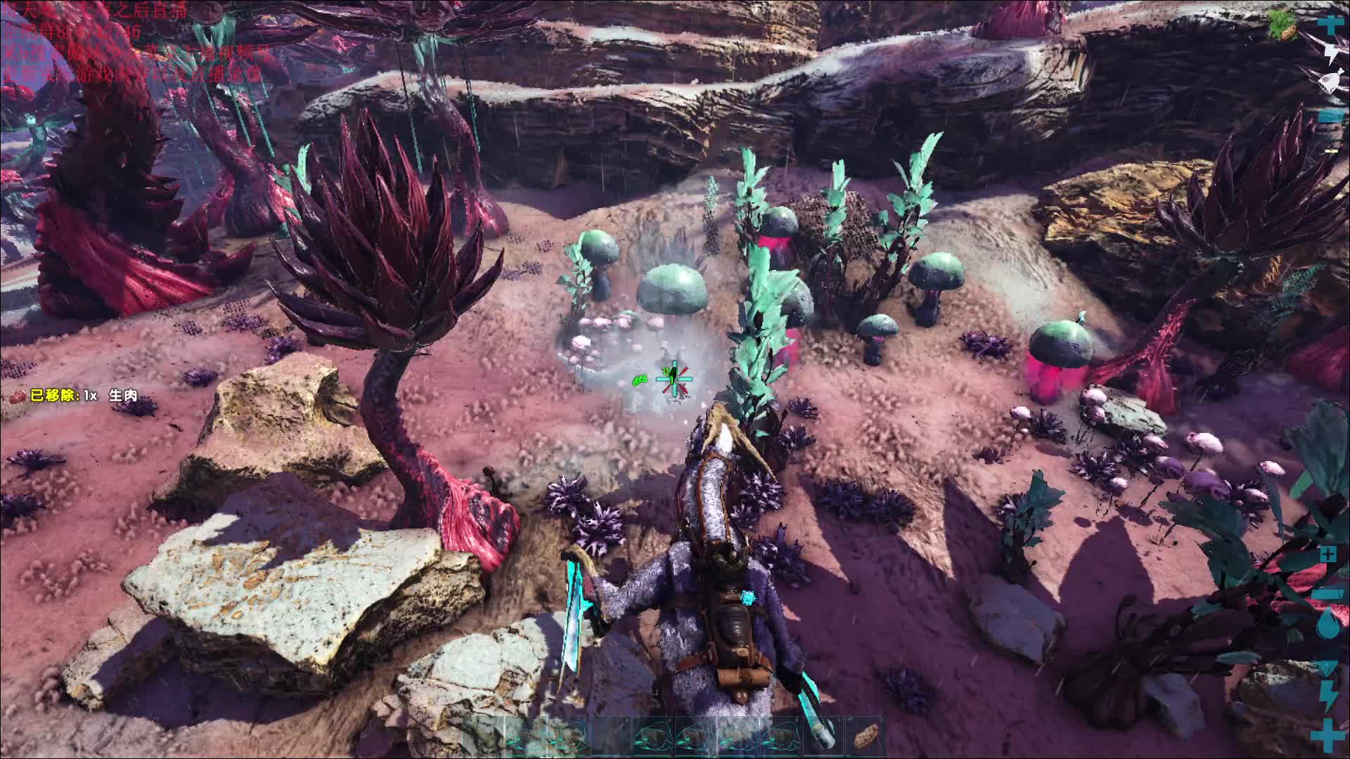 2024年7月19日直播录像1p