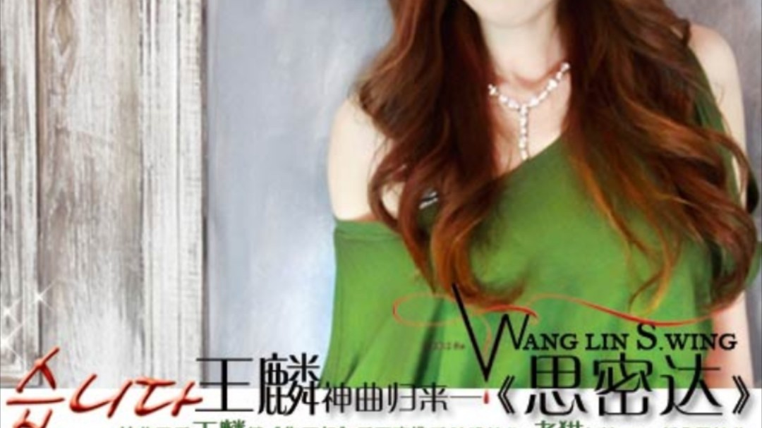 好听的歌送给时尚的你-王麟《思密达(DJ版)》