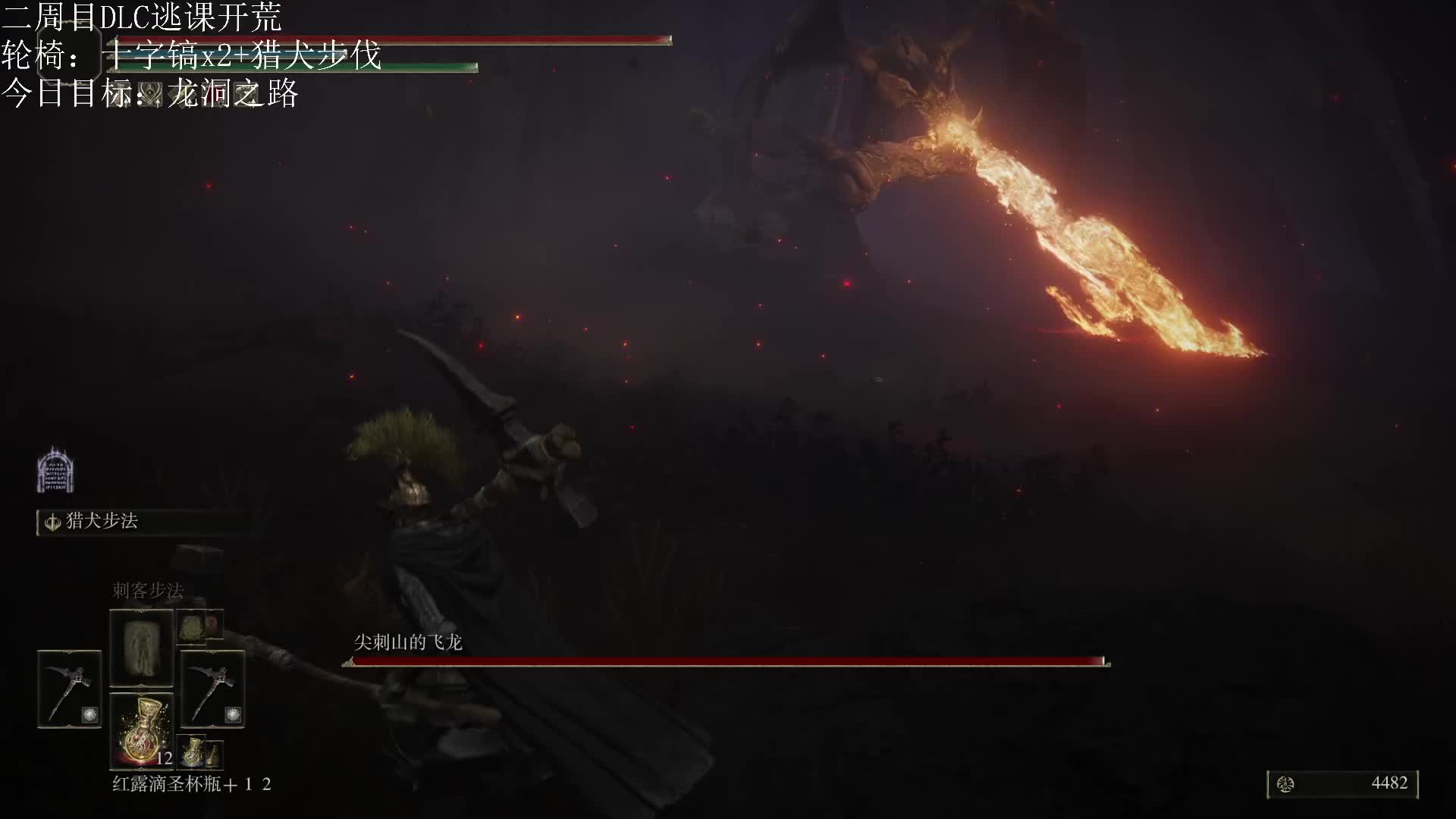 尖刺山的飞龙x2