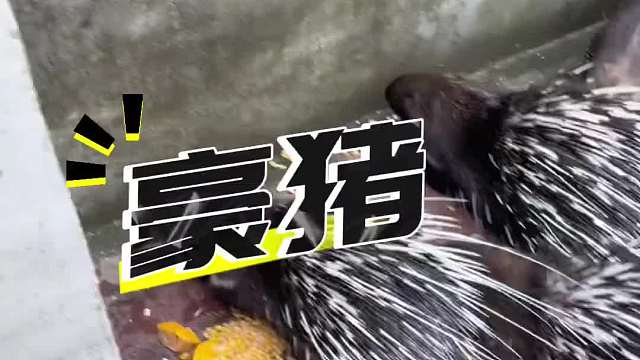 带JOJO回我的家乡看看咯 我到家了你到哪了 ，早点回家和我一起