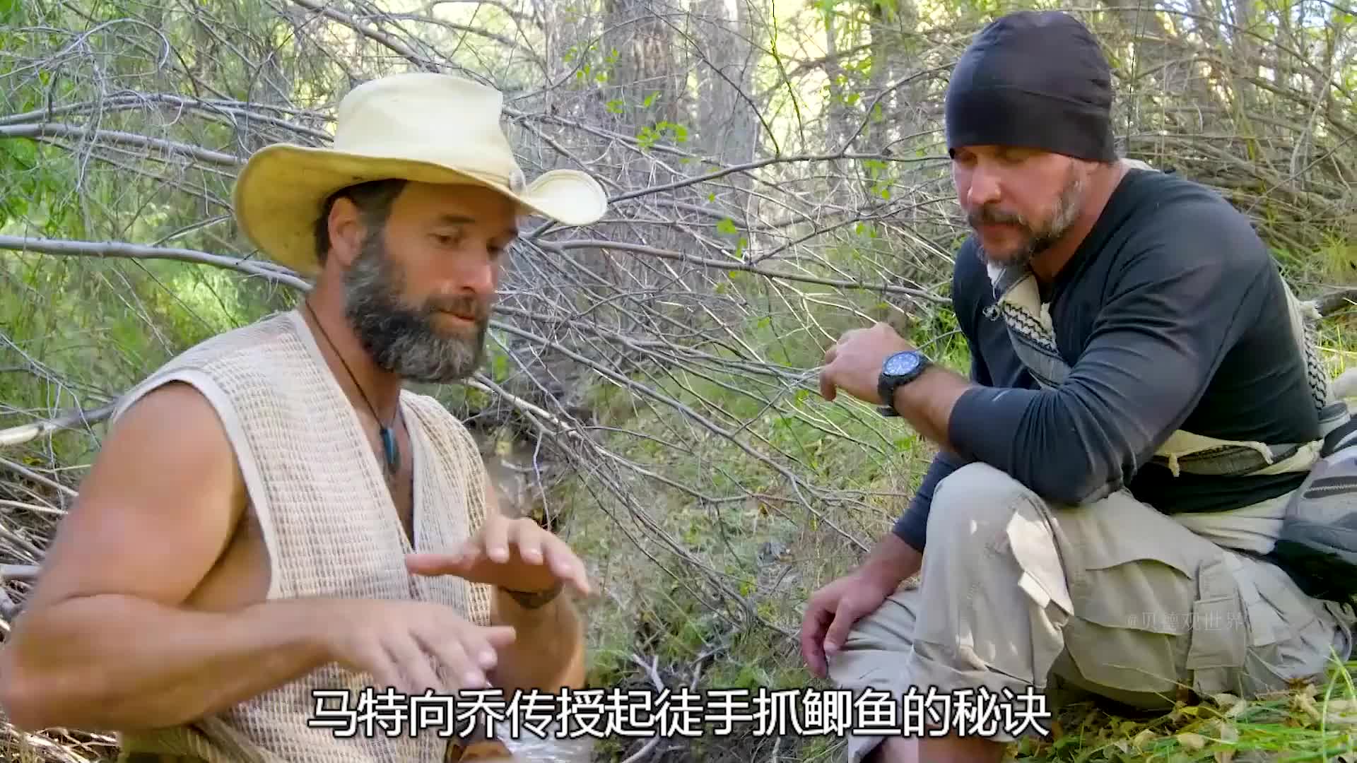马特和乔荒野求生，竟然吃上野鲫鱼，还有野生的小洋葱  (3)