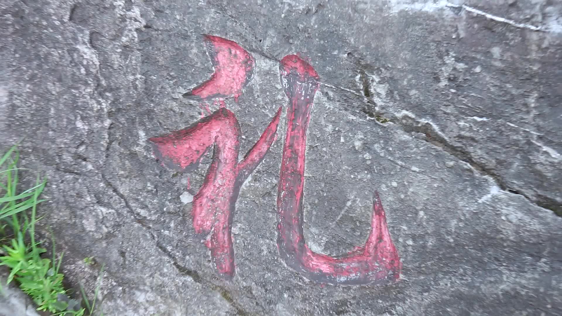 花有重开日，人无再少年。致敬美丽的校园。你是从这里走出来的吗