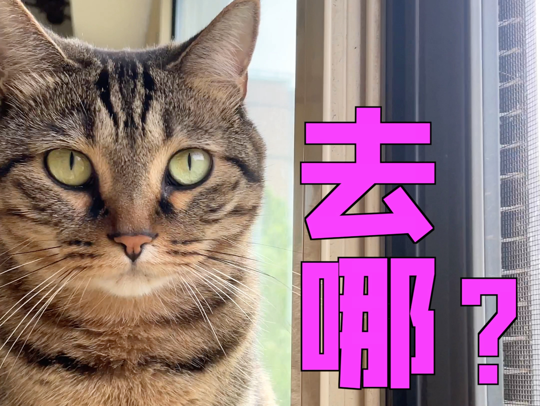 惊～她来公园竟然是为了这个～