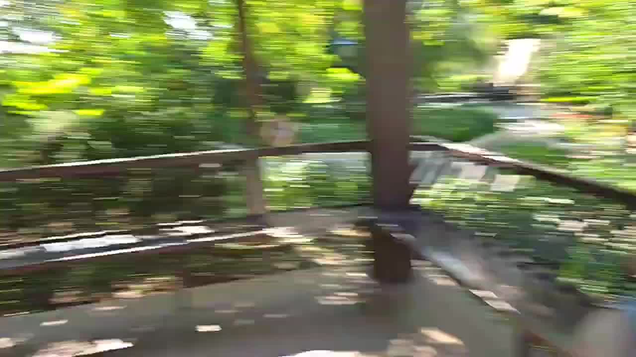 【集梦会长】现在没钱租别墅，女主播都不穿泳衣了