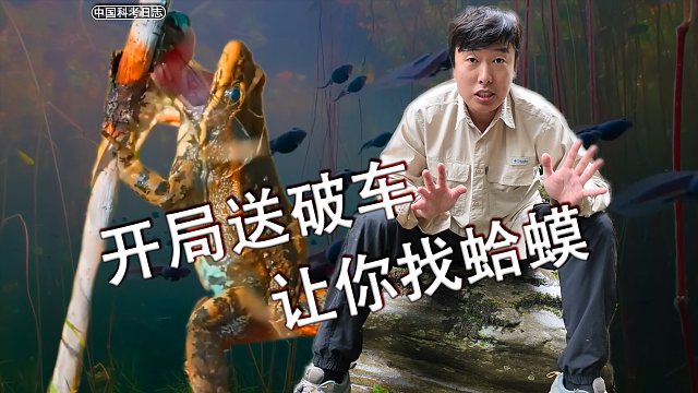 开局发一辆坏车，万蟾谷找蟾能否成功？（找到了别的）