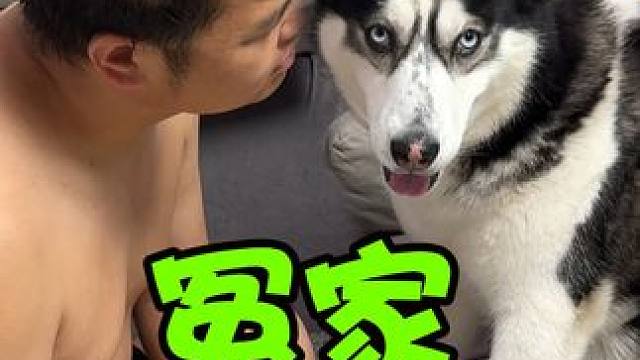 狗狗的心思都写在脸上了~