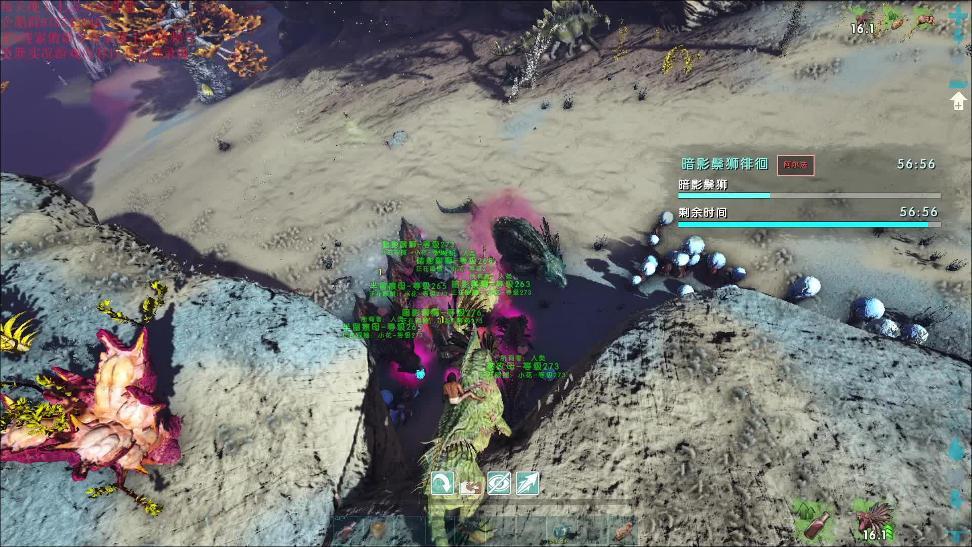 2024年7月25日直播录像4p