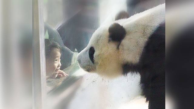 猫猫：奶妈，她..她..她好可爱呀~