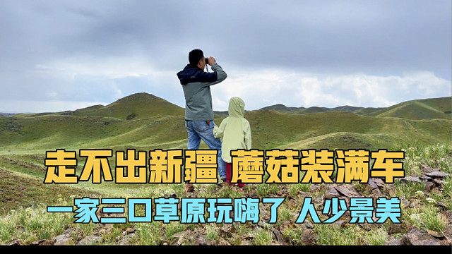走不出新疆，蘑菇装满房车，一家三口在草原玩嗨了，人少景美