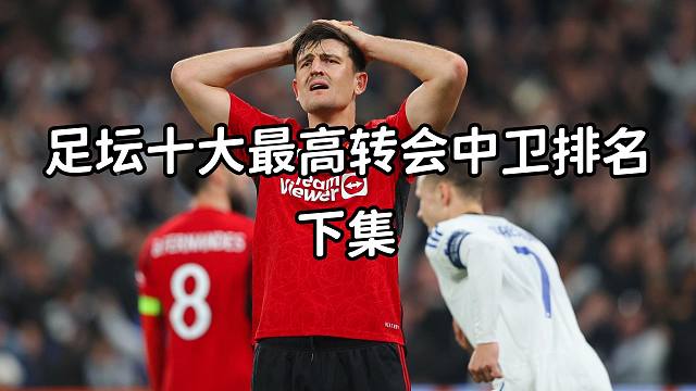 足坛十大最贵中后卫转会身价排名（下集）
