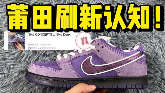 某田入手一双dunk紫龙虾，开箱测评！