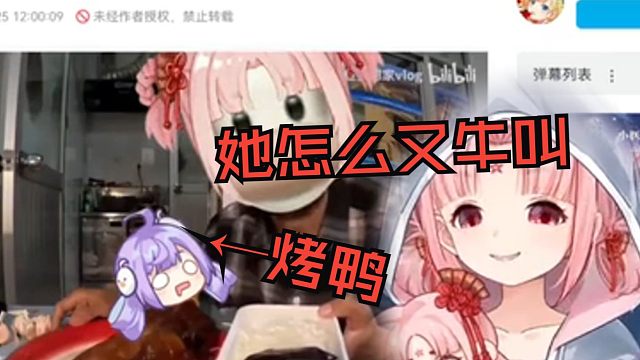 扇宝直播看 扇宝梦想家