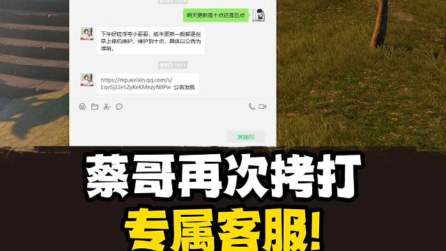 蔡哥再次拷打客服，询问帮战卡顿问题