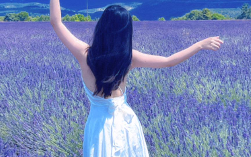 薰衣草的夏天｜普罗旺斯