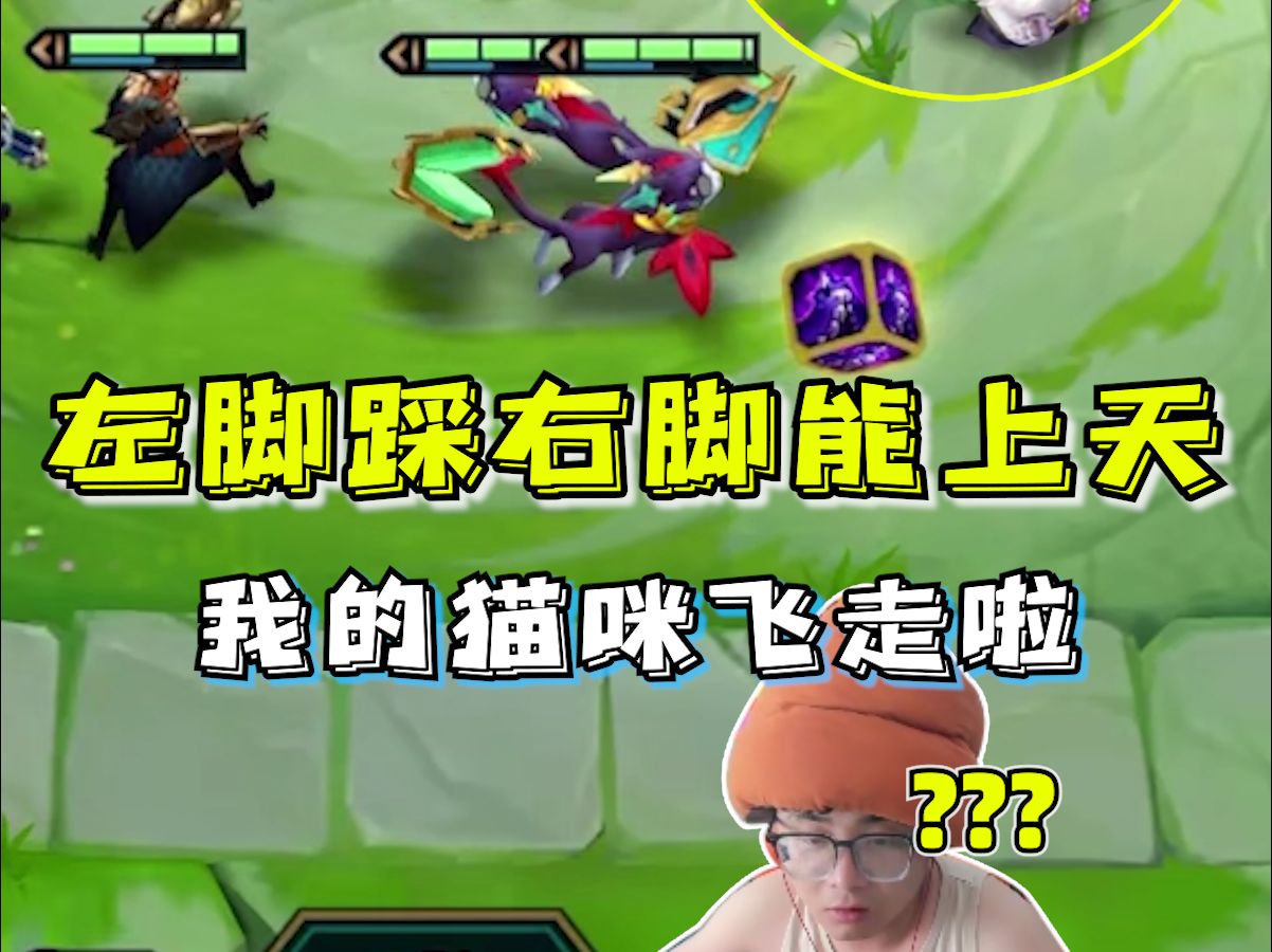 我的猫咪怎么飞走辣!