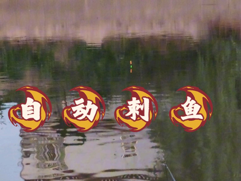 傳說(shuō)中的自動(dòng)刺魚(yú)…