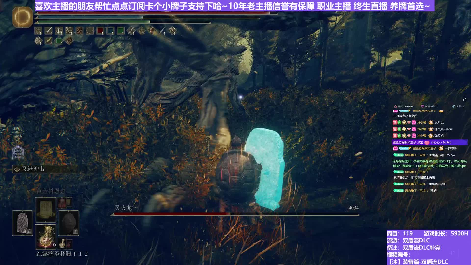 【沐】装备篇-双盾流DLC番外篇3-3 死灵龙3