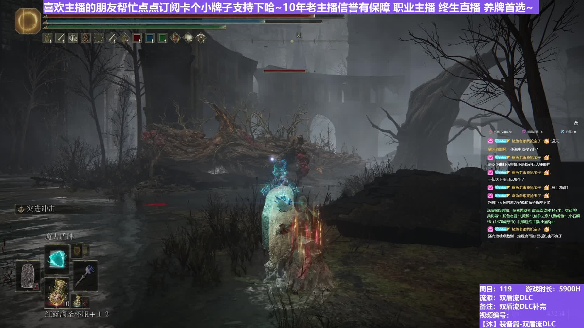 【沐】装备篇-双盾流DLC番外篇12-2 树灵2