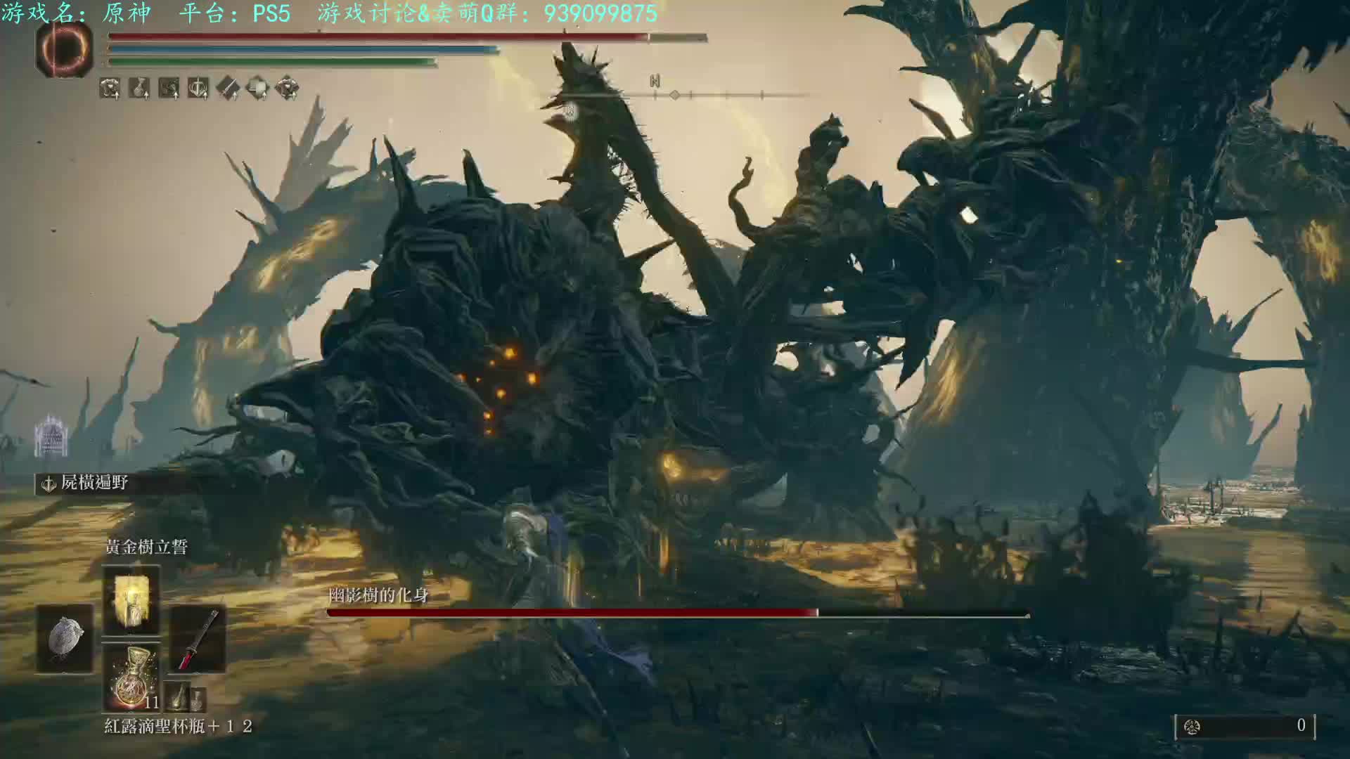 老头环DLC-8周向日葵