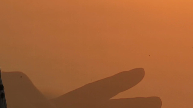 《这条小鱼在乎》琴歌