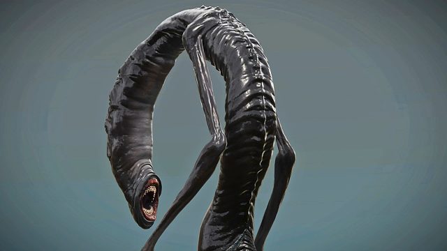 《黄金树幽影》深入模型：八目鳗