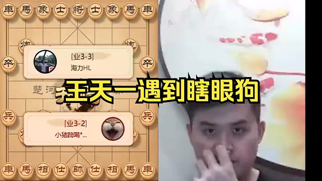 王天一遇到瞎眼狗，看老王怎么赢的