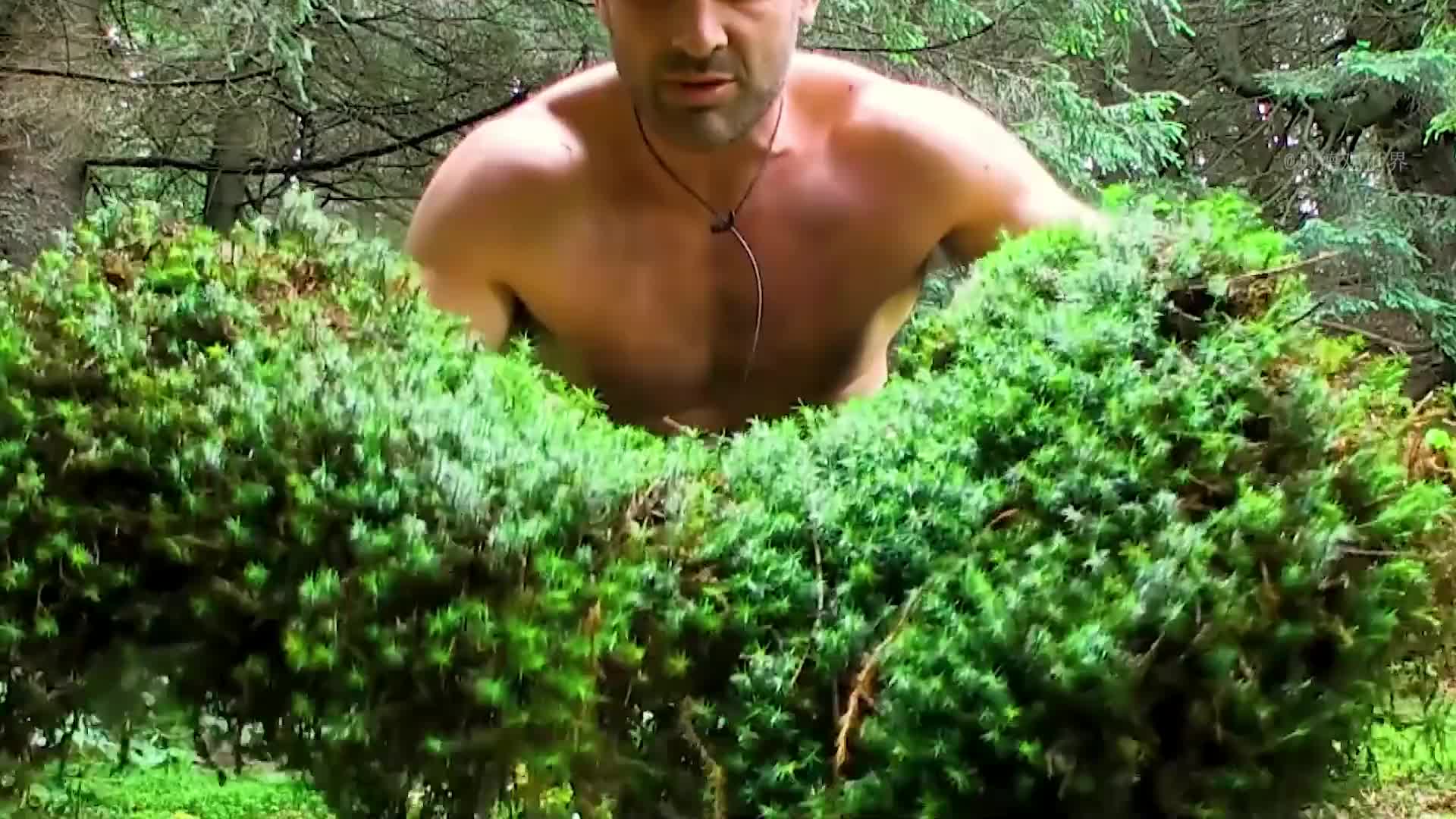 德子罗马尼亚荒野求生，竟然捕捉到一只野鹿，还吃上了烤蚱蜢  (1)