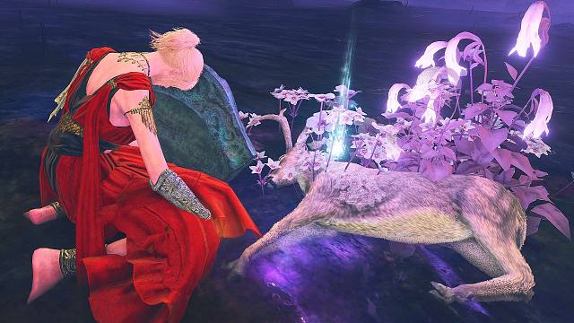 带上小动物去见托莉娜会发生什么? 艾尔登法环 黄金树幽影