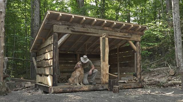 和我的狗子在森林里中生活，今天准备动手，建造一个木柴仓库！