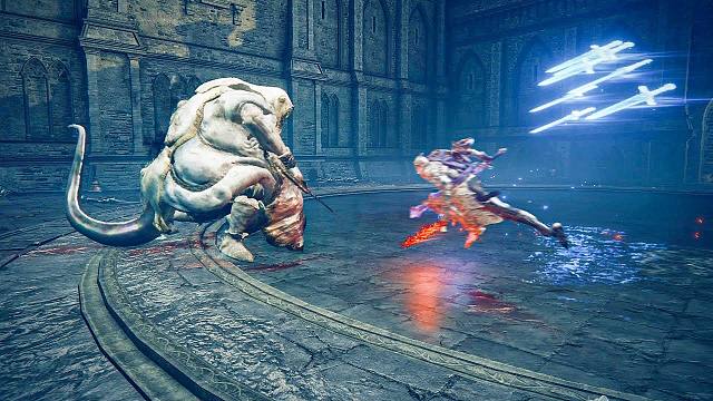 法环：胖神皮能打过双月骑士吗？