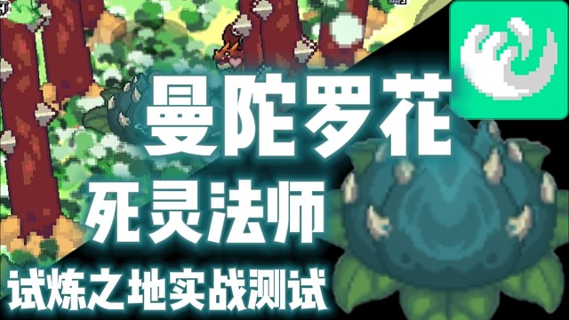【元气骑士前传】曼陀罗花·死灵法师 试炼之地实战测试