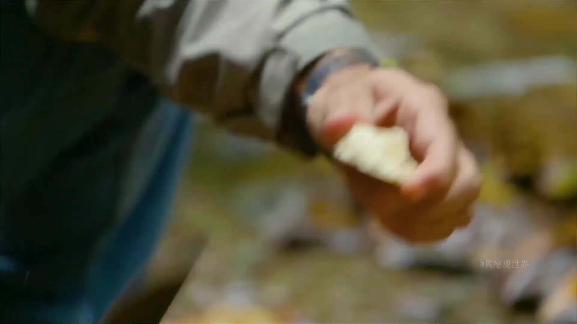 看完马特和乔荒野求生，带你吃遍全世界  (14)