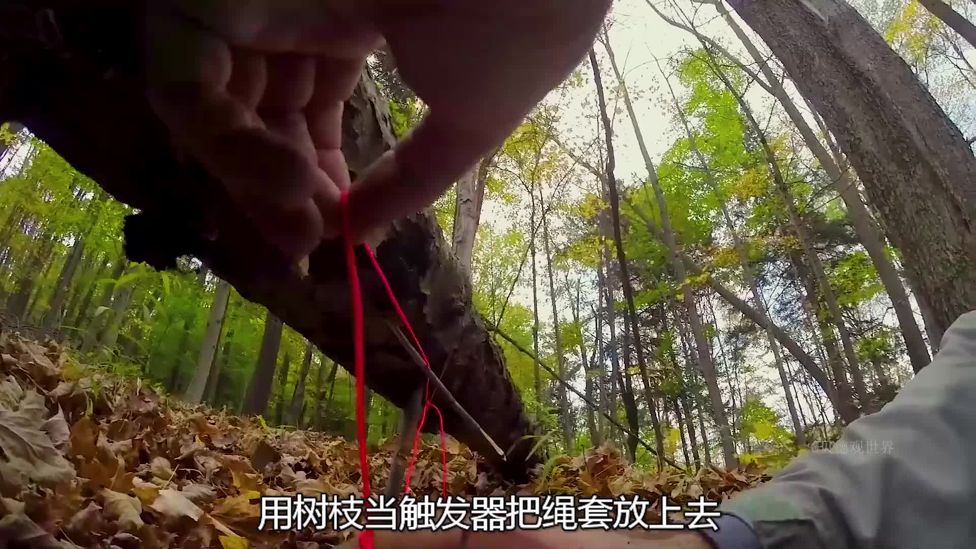 看完马特和乔荒野求生，带你吃遍全世界  (15)