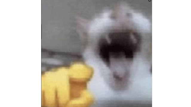 [速通] 女武神 订饭思路思路 卡德幻vs血血怪 - 《艾尔登法环：黄金树幽影》