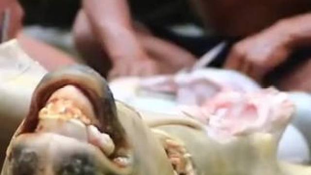 羊肉生 #我的乡村生活 #农村生活 #原始美味 #农村美食 #我在乡村做美食