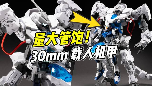 HG的价格 MG的大小 万代30mm 载人机甲 普罗维德尔【浅评】