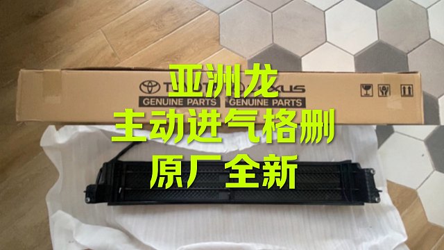 丰田亚洲龙主动进气格删 通病吗？