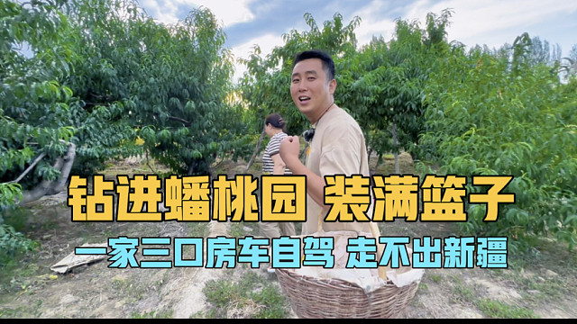 钻进蟠桃园，装满篮子，一家三口房车自驾彻底走不出新疆