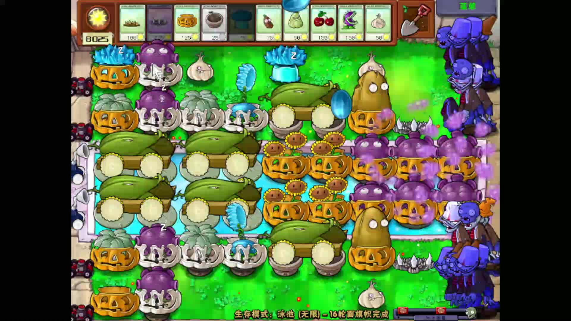 单冰瓜四炮残白搭梯，有史以来最顺畅的一次