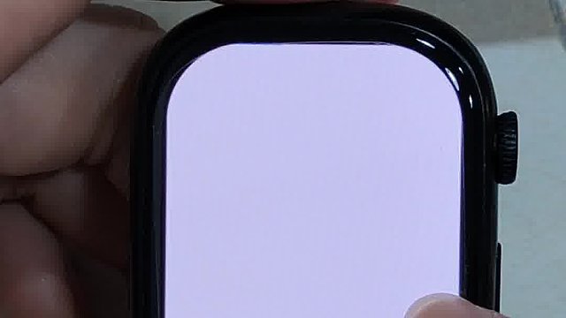 关于有包子问手表能不能使用大麦