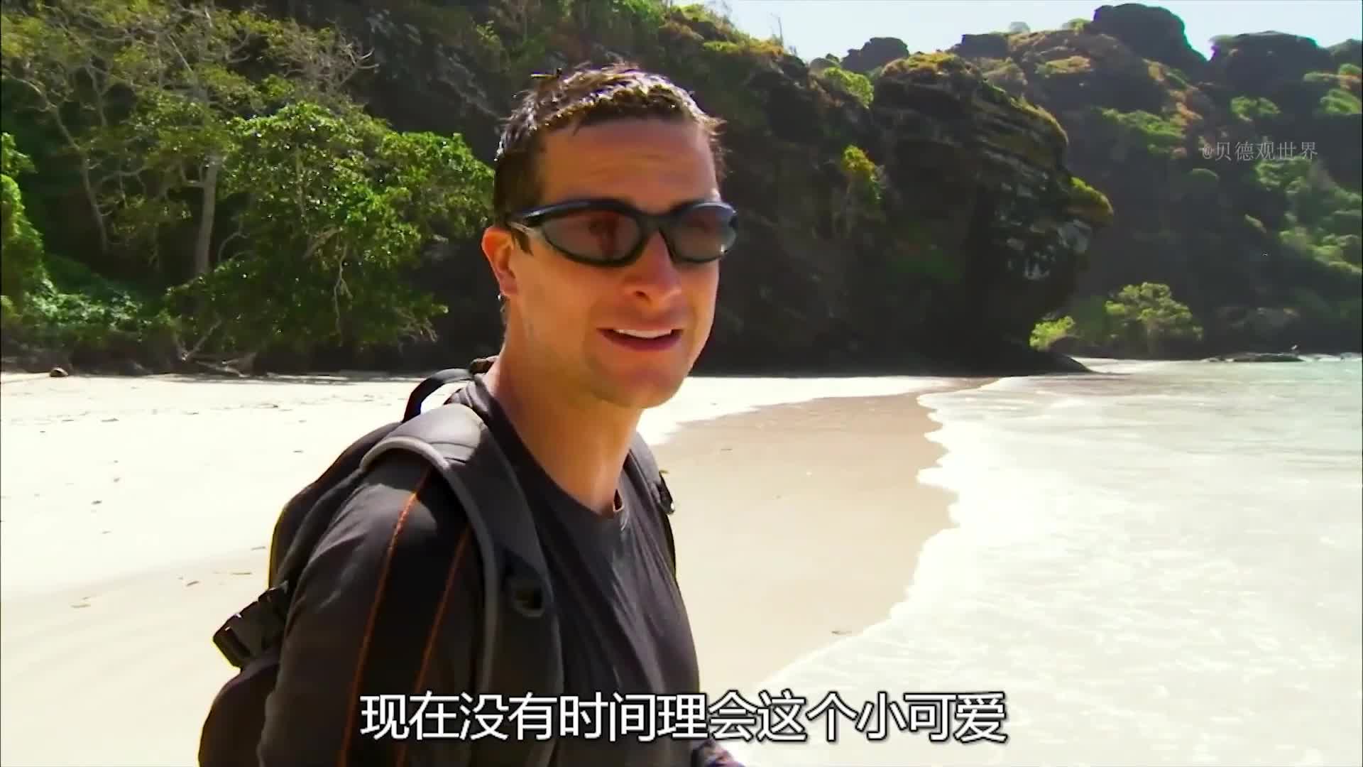 贝子荒岛求生，竟然吃上鲜美的澳龙，不仅如此还实现了烤鱼自由，椰子喝得根本停不下来  (1)