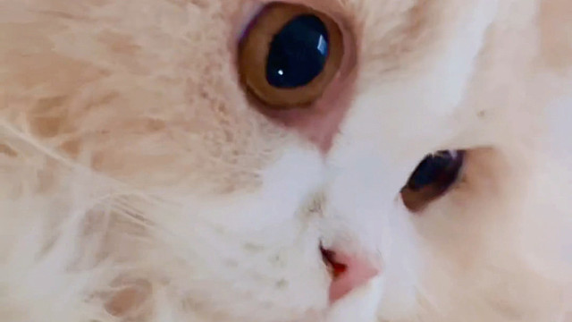 宝宝你是一头小猪